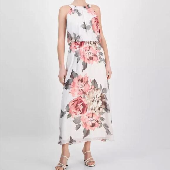 Robbie Bee Women's Sleeveless Floral Print Chiffon Blouson Maxi Dress Sz 10P - Picture 1 of 8